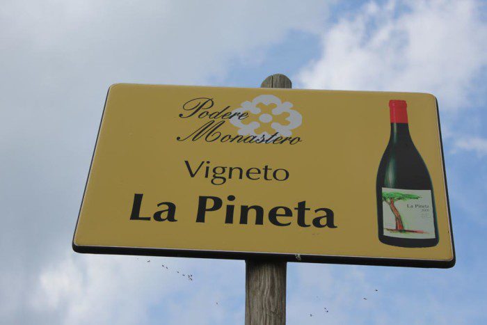 La Pineta